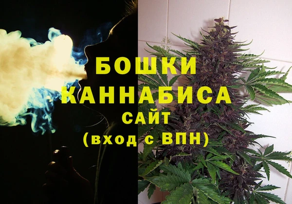 индика Белоозёрский