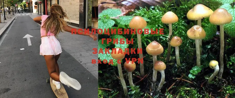 Галлюциногенные грибы Magic Shrooms  Заозёрный 